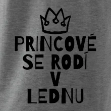 Princové se rodí v lednu Princové se rodí v lednu