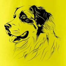 Bernský salašnický pes černá kresba