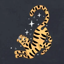 Tygr s hvězdami (studio-arte.cz)