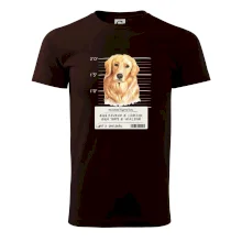 Lump a darebák zlatý retrívr