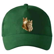 Kočky vectorizované  (Moňas)