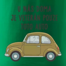 U nás doma je veterán pouze toto auto zelené