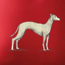 Vintage Whippet