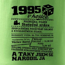 1995 v kostce