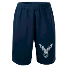 Geometrie - Jelen velký