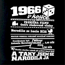 1966 v kostce