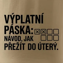 VÝPLATNÍ PÁSKA: Návod, jak přežít do úterý