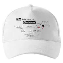 Jezevčík - Anatomie