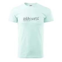 Čeština 2.0 - zášoustí