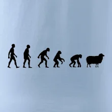 Evoluce ovce