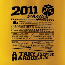 2011 v kostce