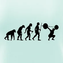 Evolution fitness