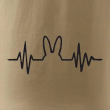 EKG zajíc EKG zajíc
