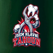Jsem hlavní tahoun