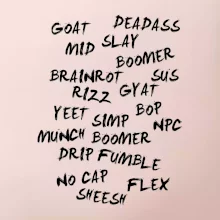 Generace Z - Gen Z slovník