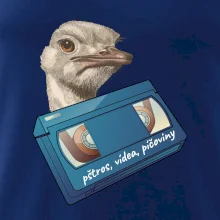 Pštrosi vídea Pštrosi vídea