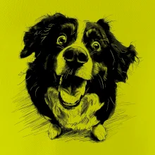 Černobílá karikatura Bernský salašnický pes