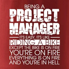 Being A Project Manager - bike