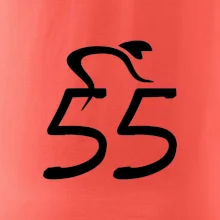 Cyklista slaví pětapadesátku (55)