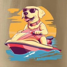 Zlatý retrívr na vodním skútru