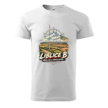 Liblice B vysílače v české krajině