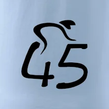 Cyklista slaví pětačtyřicítku (45)