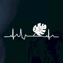 EKG Monstera EKG Monstera
