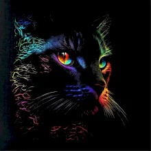 Duhová kočka ve tmě