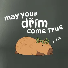 May your dřím come true