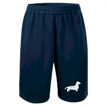 Jezevčík - Dachshund