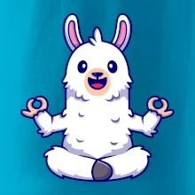 Yoga meditace - lama