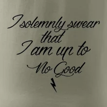 I solemnly swear that I'm up to no good