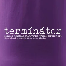 Čeština 2.0 - termínátor