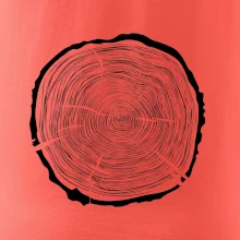 Letokruhy 65 bez věku