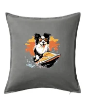 Border Kolie na vodním skútru