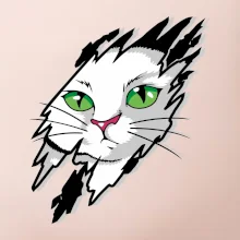 Kočka v roztrženém triku