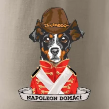 Napoleon domácí pes kříženec