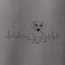 EKG křivka jezevčík