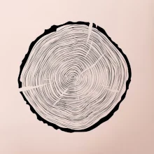 Letokruhy 55 bez věku