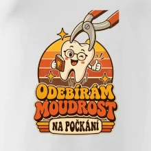 Odebírám moudrost na počkání