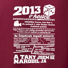 2013 v kostce