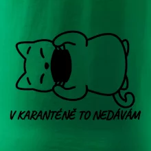 V karanténě to nedávám