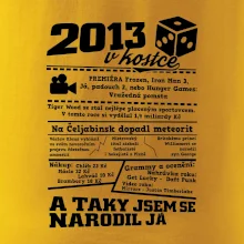 2013 v kostce