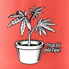 Konopi prostě pěstuju