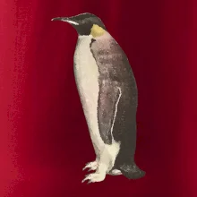 Tučňák kreslený vodovými barvami