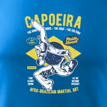 Capoeira  Afro-brazil art