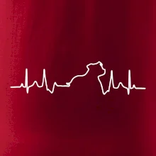 Stafordšírsky bulteriér EKG