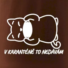 V karanténě to nedávám