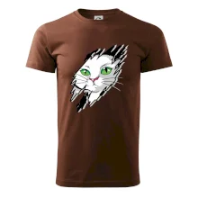 Kočka v roztrženém triku