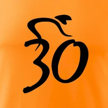 Cyklista slaví třicítku (30)